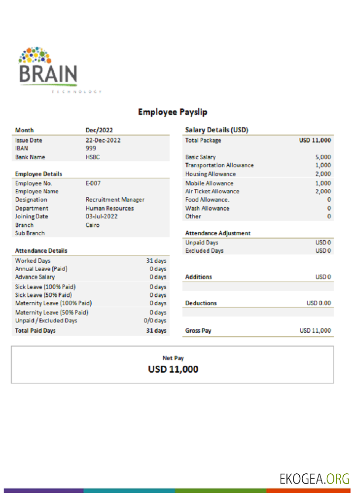 Entreprise technologique américaine Brain Technology